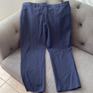 Ann Taylor Pant